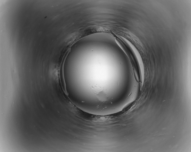 X0000093720329200710161103