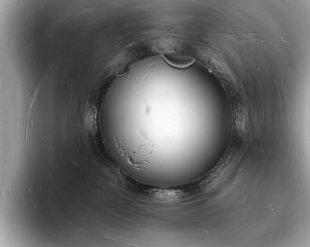 X0000093720332200710161103