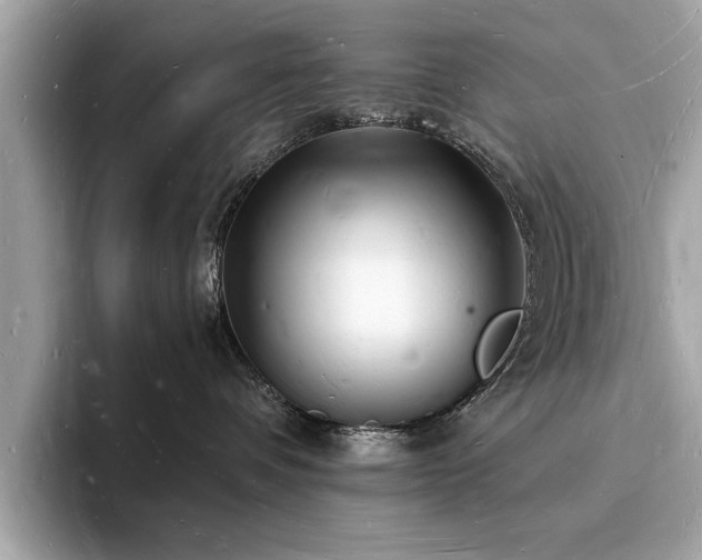 X0000093720336200710161103