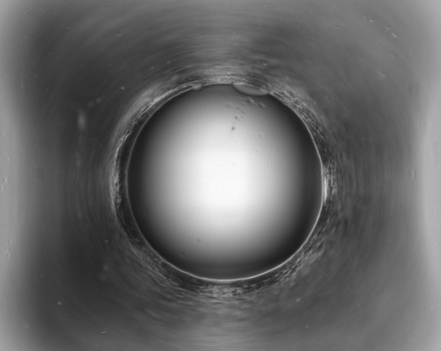 X0000093720339200710161102