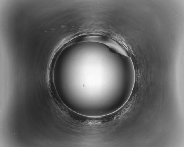 X0000093720340200710161102