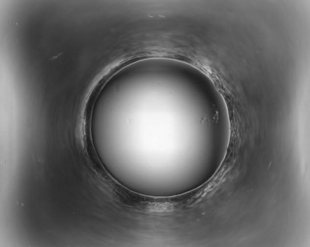 X0000093720342200710161102