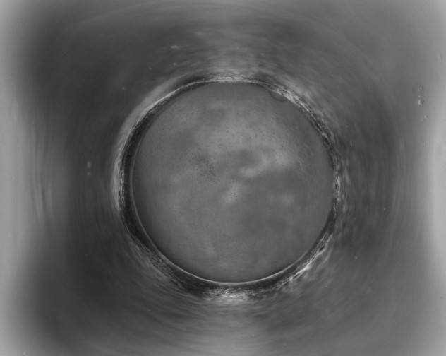 X0000093720343200710161102