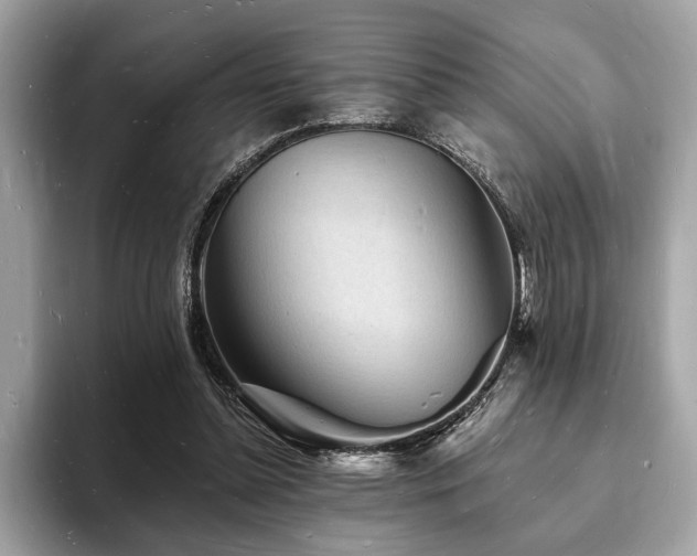 X0000093720348200710161102