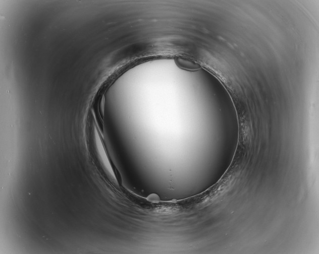 X0000093720350200710161102