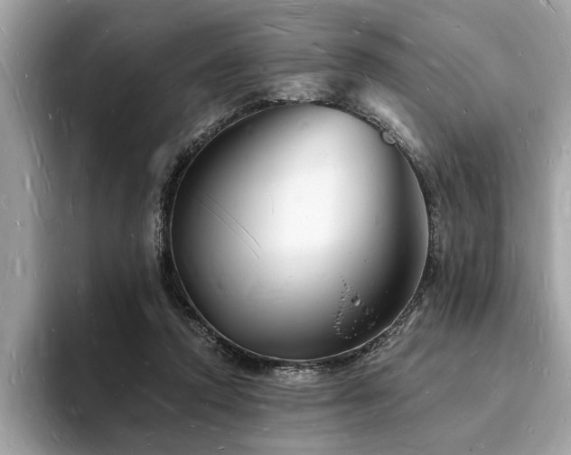 X0000093720354200710161102