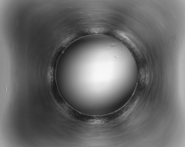 X0000093720356200710161102