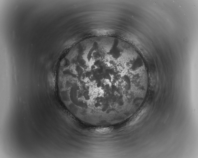X0000093720357200710161102