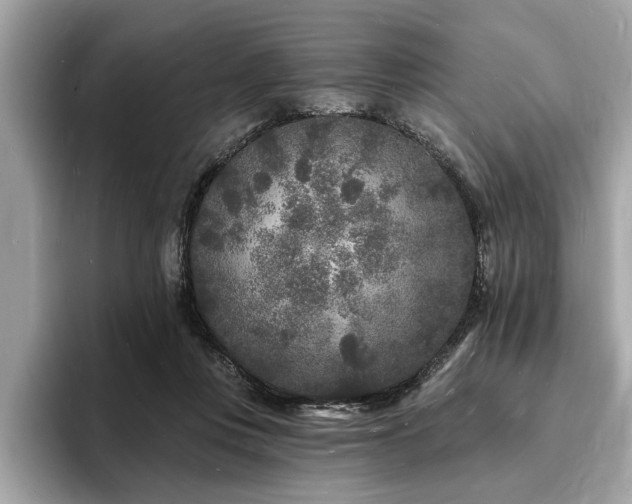 X0000093720359200710161102