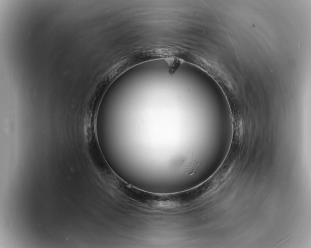 X0000093720360200710161102