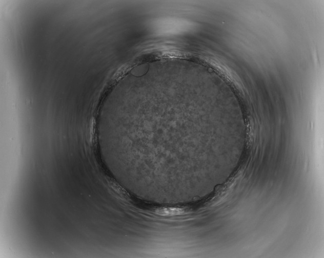 X0000093720361200710161102