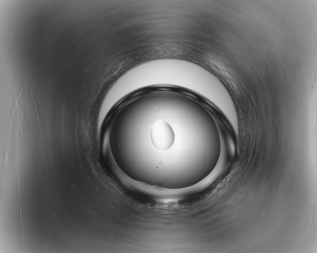 X0000093720362200710161102