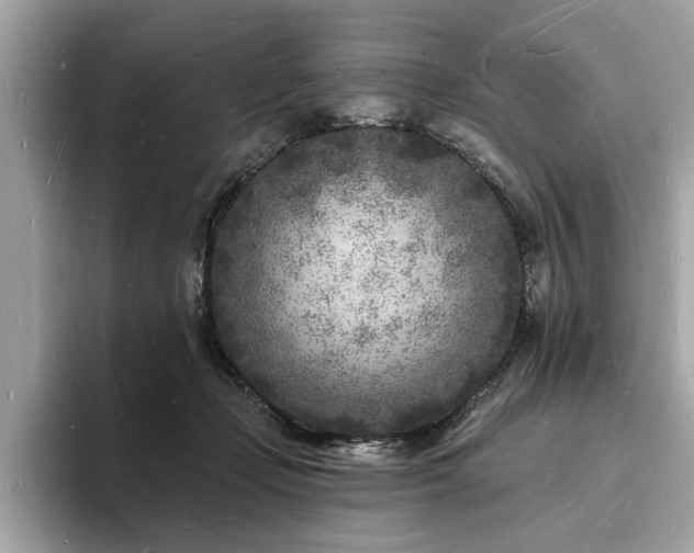 X0000093720365200710161102