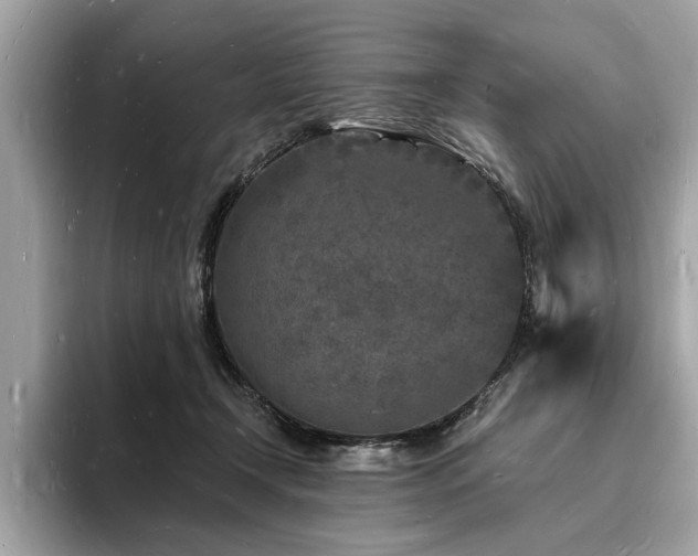 X0000093720366200710161102