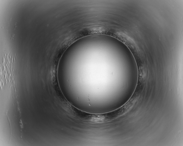 X0000093720369200710161102
