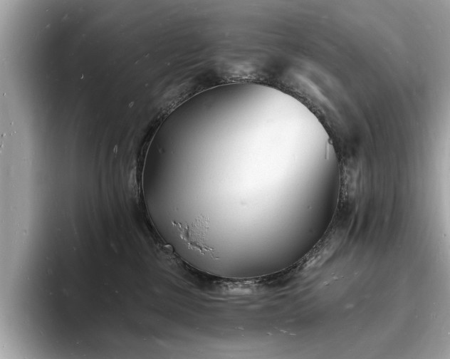 X0000093720377200710161103