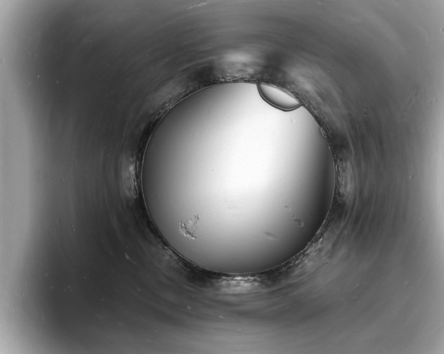 X0000093720378200710161103