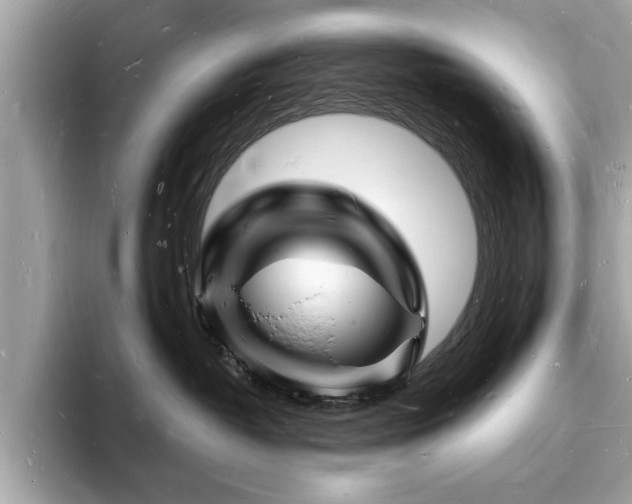 X0000093720382200710161103