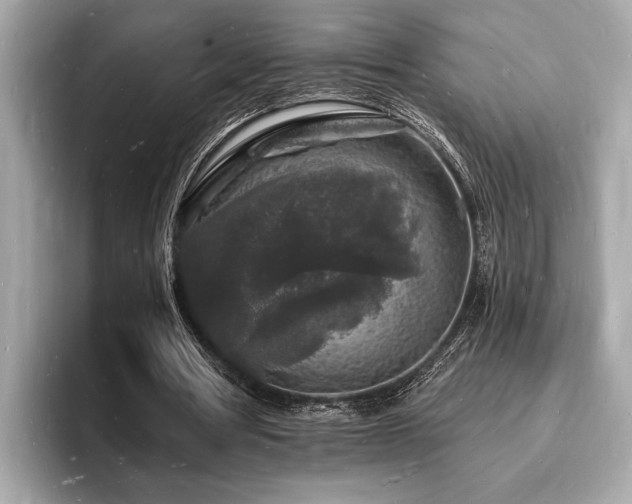 X0000093720386200710161102