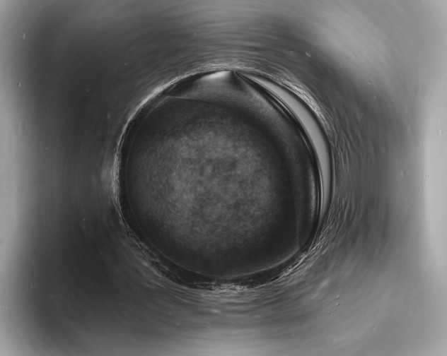 X0000093720387200710161102