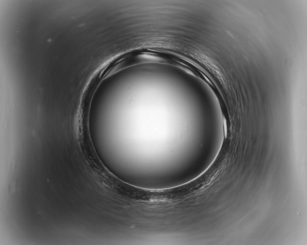 X0000093720388200710161102