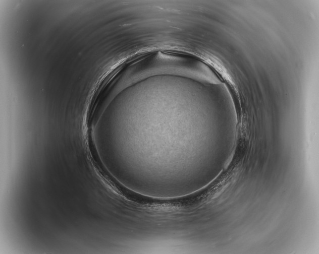X0000093720389200710161102
