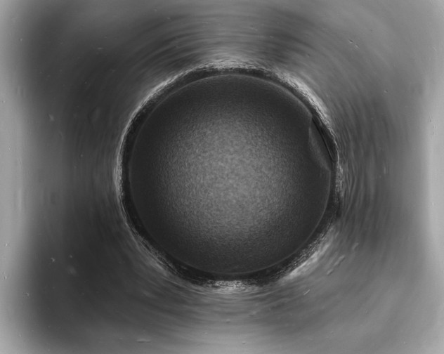 X0000093720391200710161102