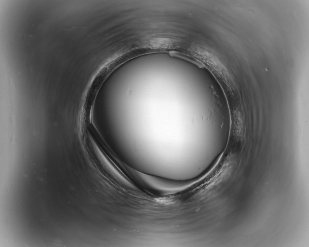 X0000093720392200710161102