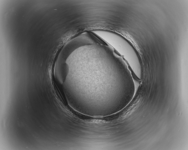 X0000093720393200710161102