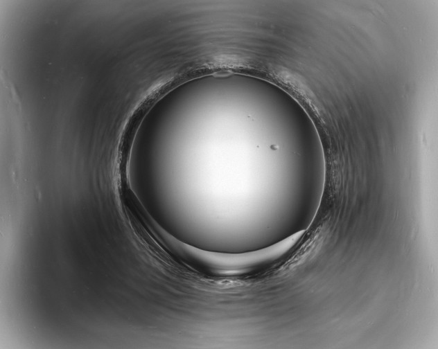 X0000093720395200710161102