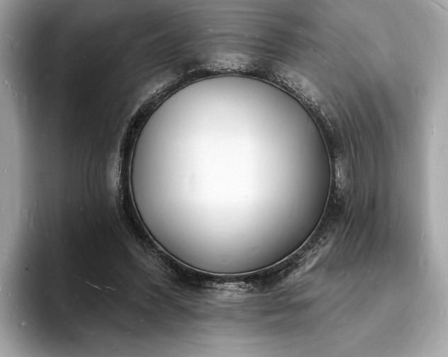 X0000093720396200710161102