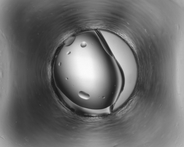 X0000093720397200710161102