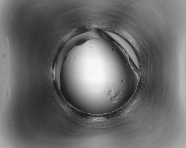 X0000093720401200710161102