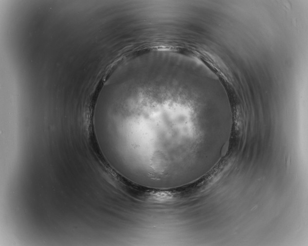X0000093720409200710161102