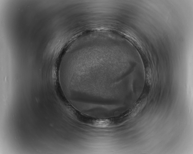 X0000093720410200710161102
