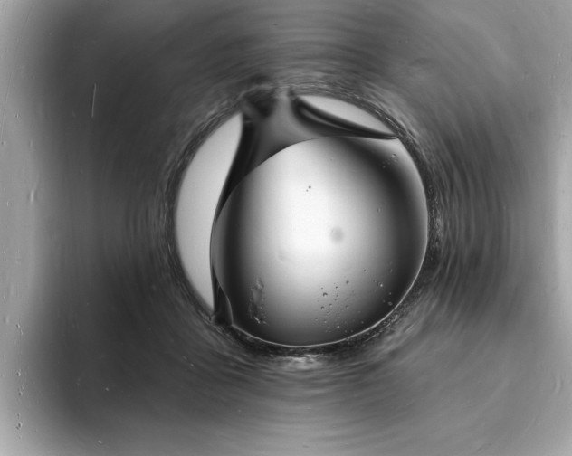 X0000093720411200710161102