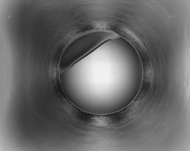 X0000093720417200710161102