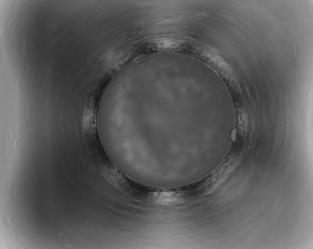 X0000093720419200710161102