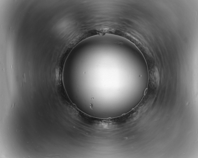 X0000093720420200710161102