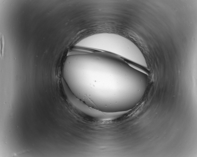 X0000093720421200710161102