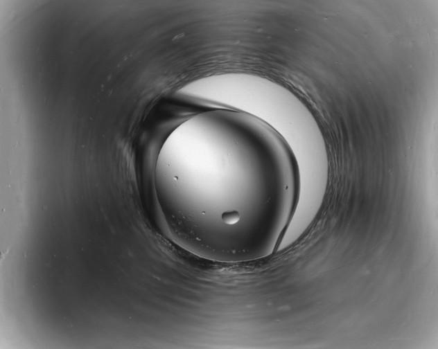 X0000093720423200710161102