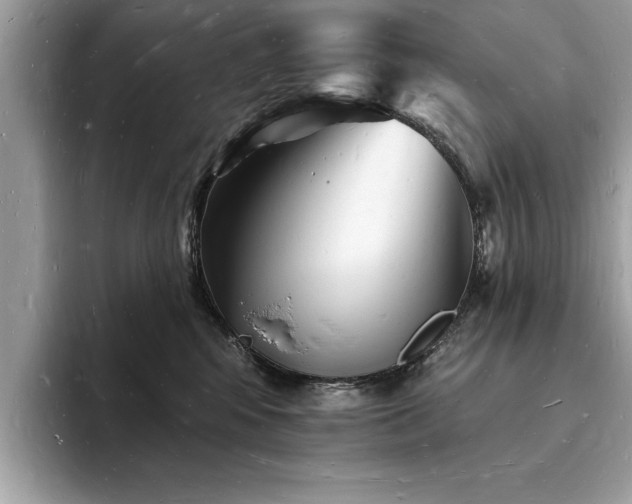 X0000093720424200710161102