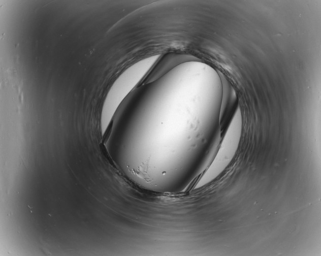 X0000093720425200710161102