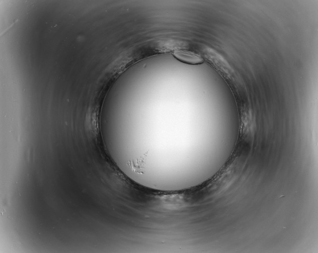 X0000093720426200710161102