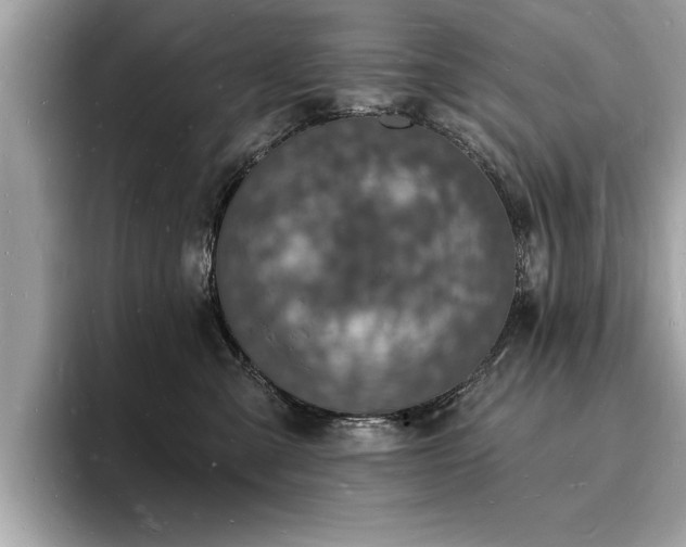 X0000093720427200710161102