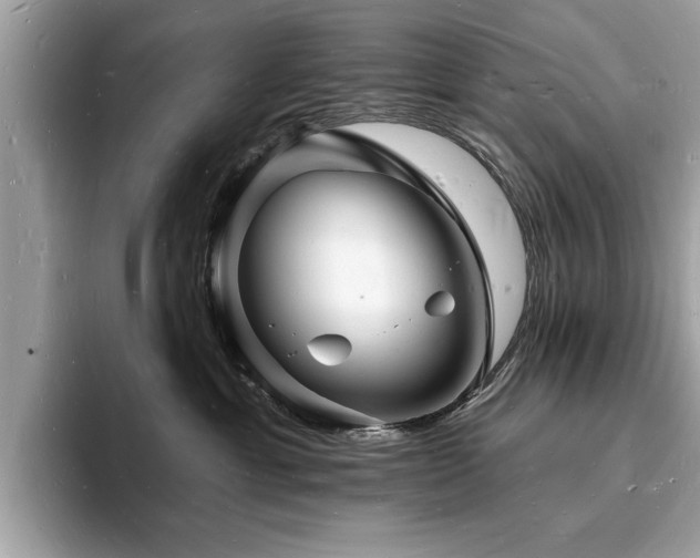 X0000093720429200710161102
