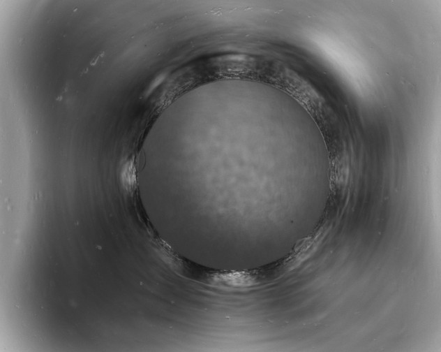 X0000093720431200710161102
