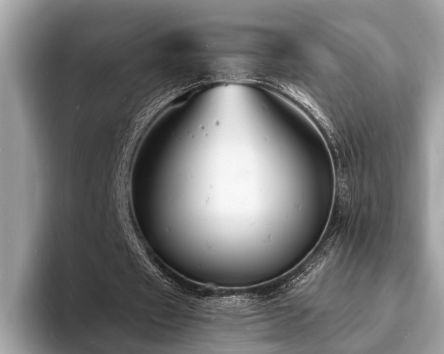 X0000093720433200710161101