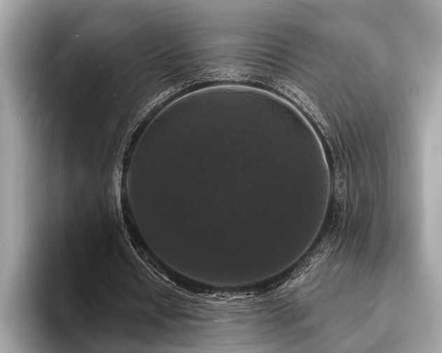 X0000093720434200710161101