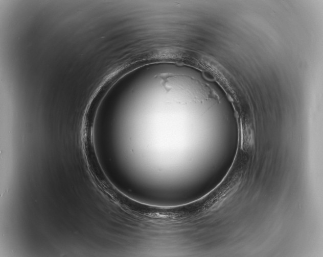 X0000093720435200710161101